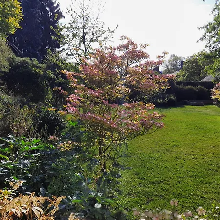 Tiny House Nyaraló *