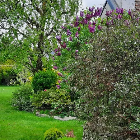 Nyaraló Tiny House *