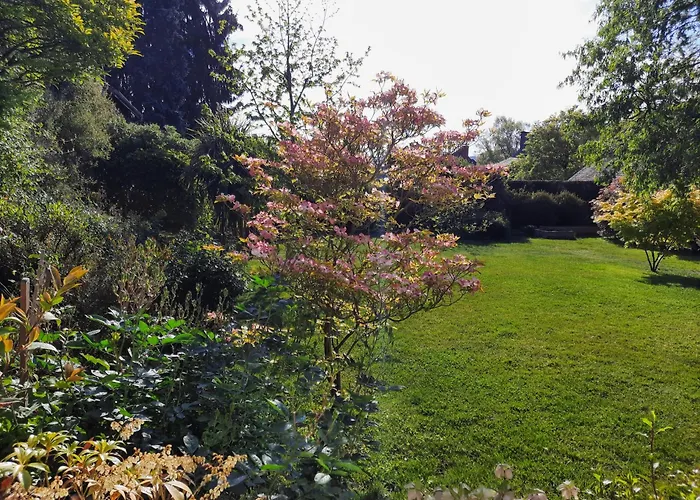 Tiny House בית נופש *