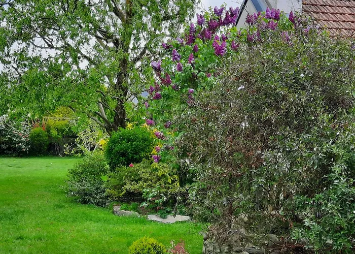 בית נופש Tiny House *